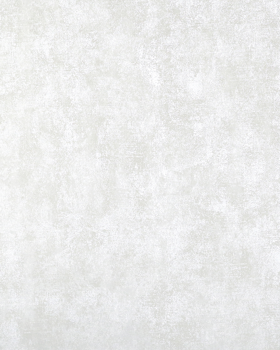 Zendi Лианна Лидс (Lianna Leeds) N55672