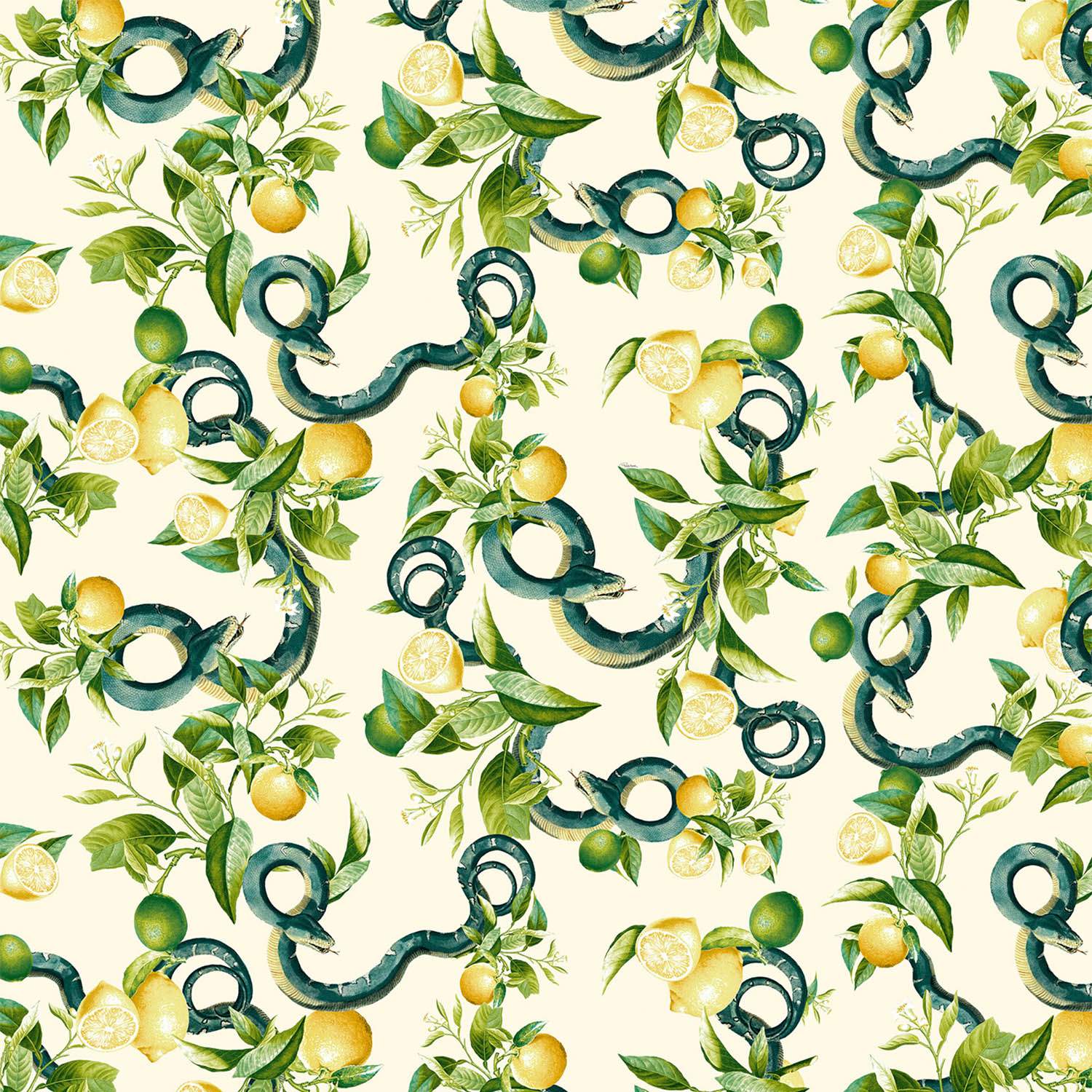 Emiliana Parati Roberto Cavalli №9 21105