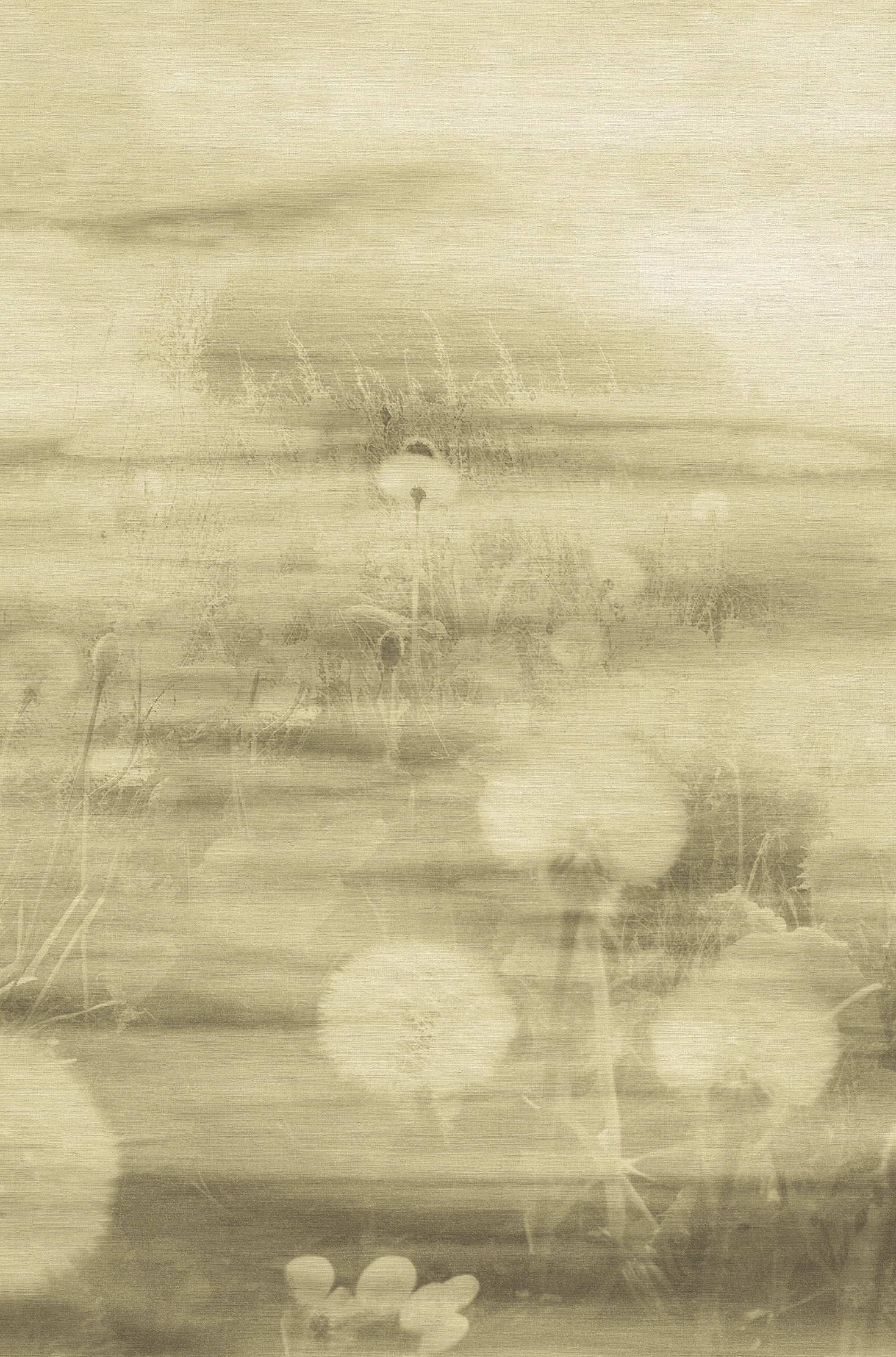 Emiliana Parati Тенденции (Tendenze) 73899