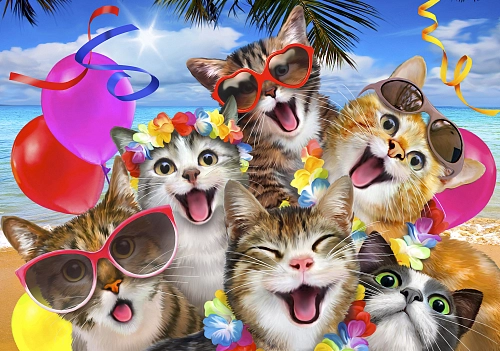 Partner Селфи-Соло (Selfi-Solo) 12866V8